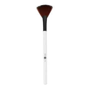 Small Fan Brush